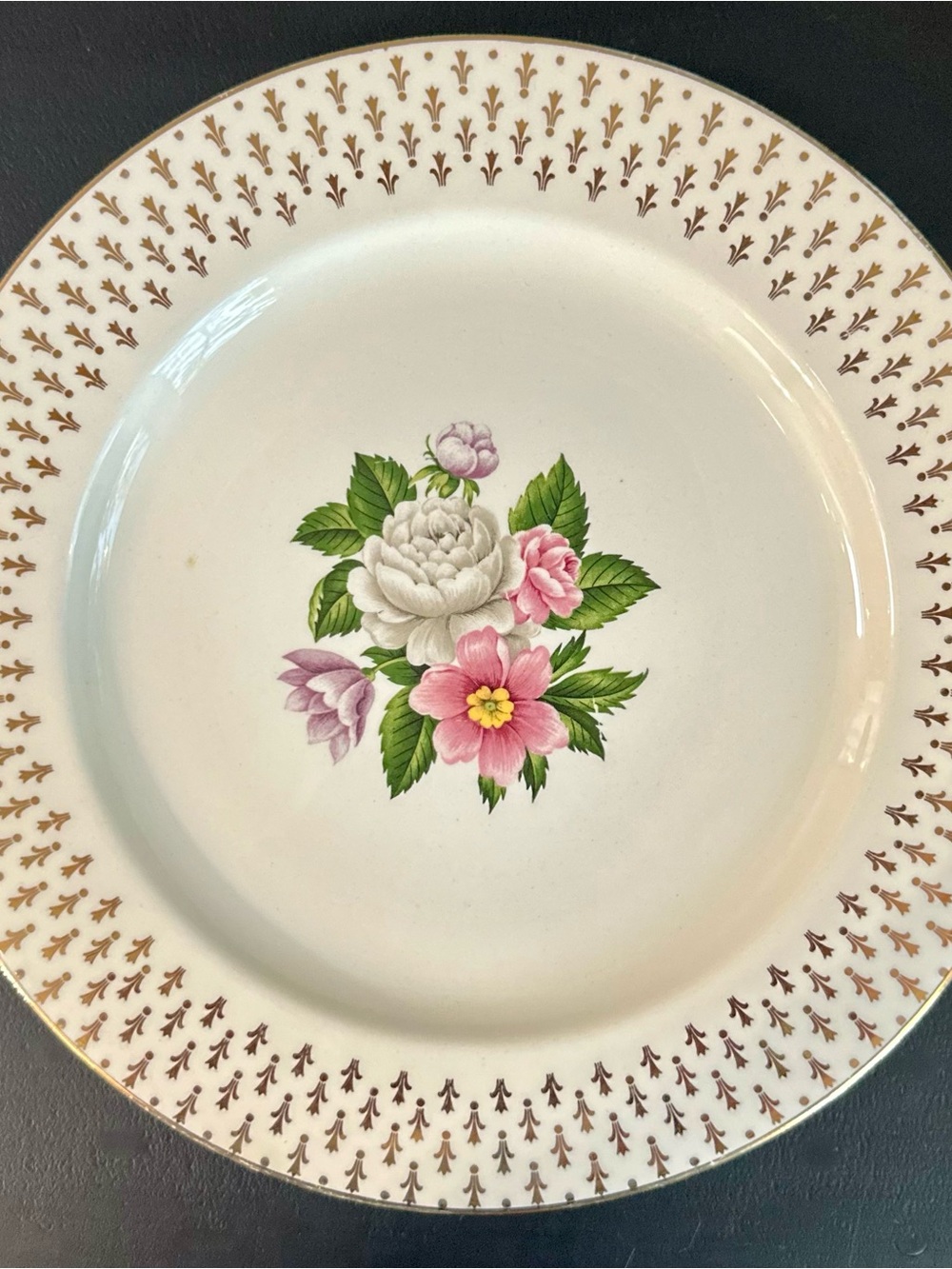 Vintage Imperial by Homer Laughlin Dinner Plate
